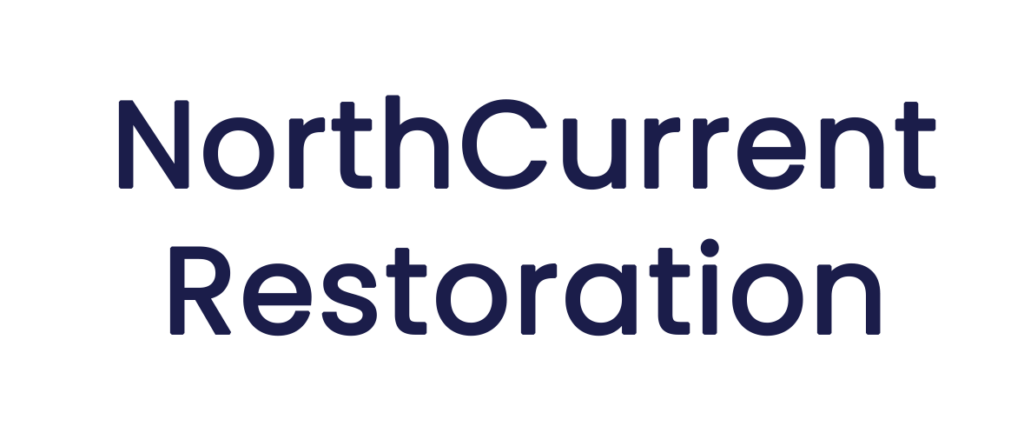 NorthCurrent Restoration logo